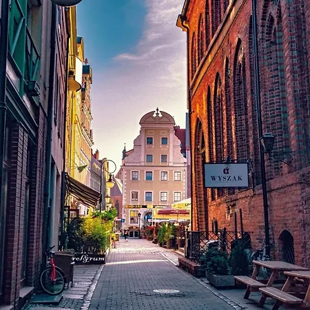 Gryf In Centrum *